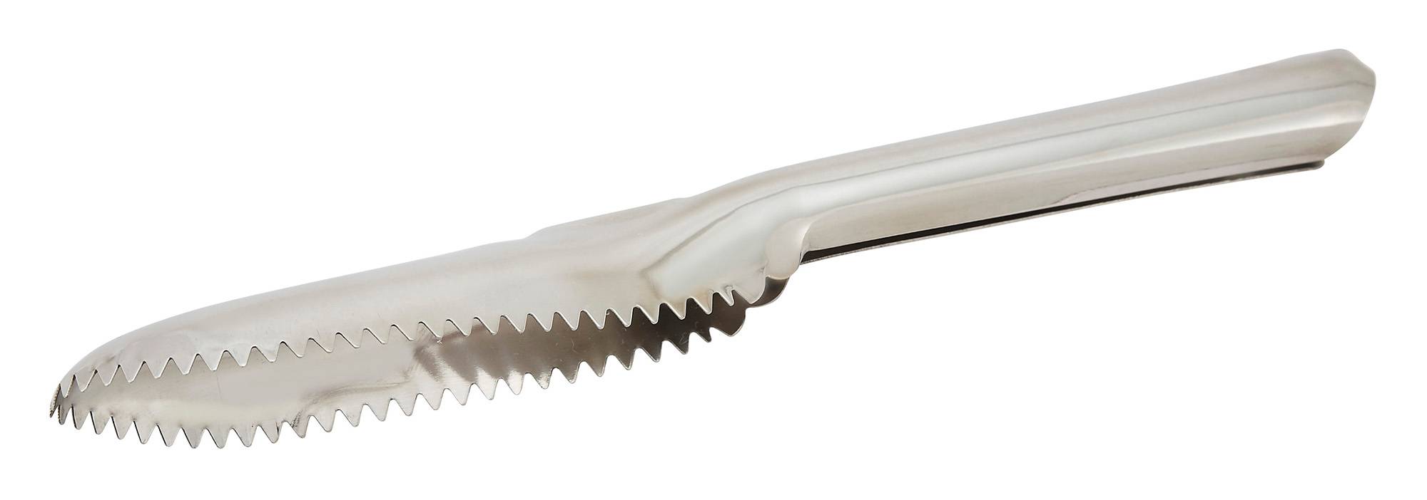 Fish Scaler, S/S